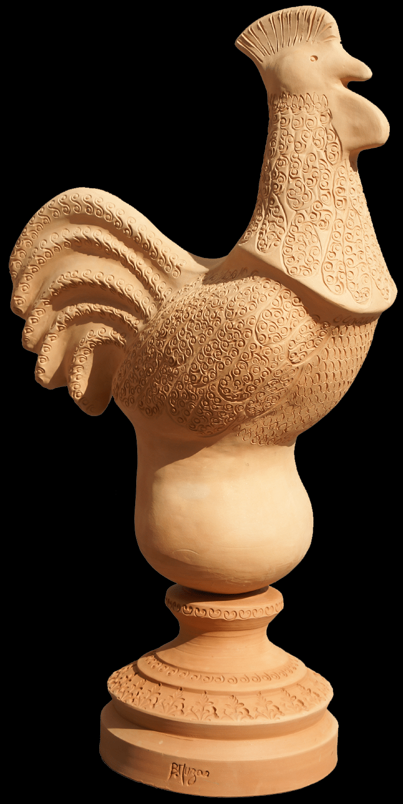 Coq light fond noir